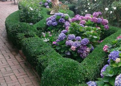 Marin landscape design hedges and flowers