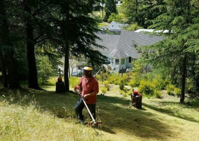 Marin yard maintenance clearing field